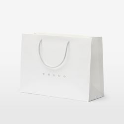 Paper Shopping Bag Small (50 pcs)