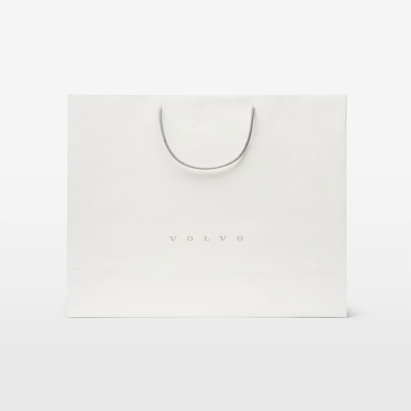 Paper Shopping Bag Large (50 pcs)