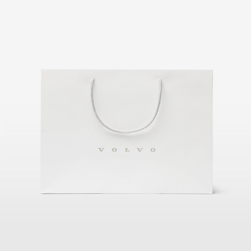 Paper Shopping Bag Small (50 pcs)