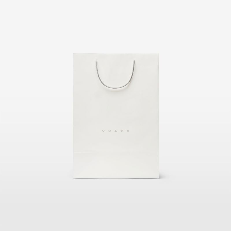 Paper Shopping Bag Medium (80 pcs)